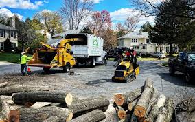 Best Tree Health Inspection  in Inverness, CA